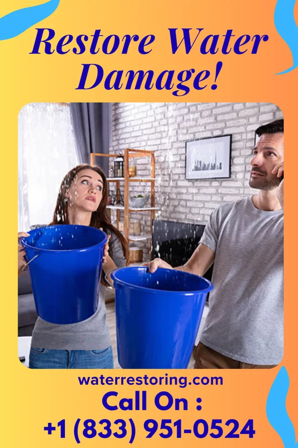 water restoration United Sewage Cleanup Force Penbrook