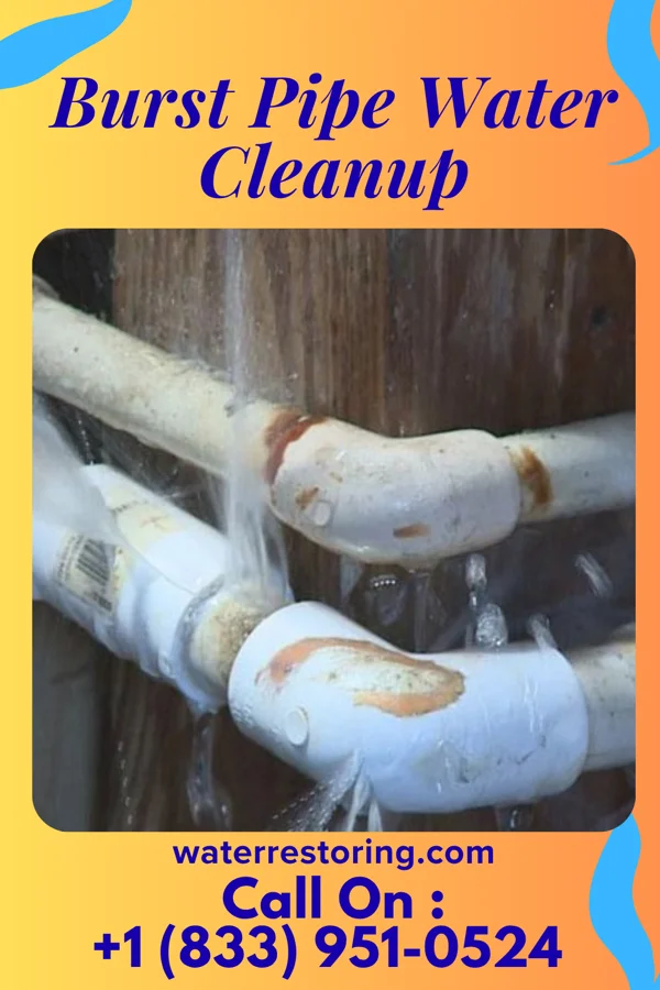 Burst Pipe Water Cleanup in Penbrook, PA