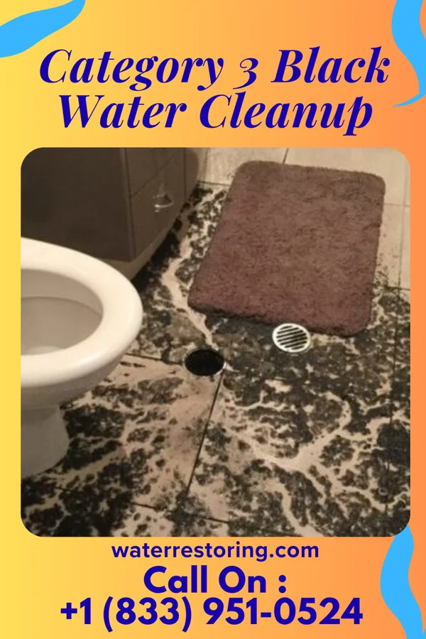 Category 3 Black Water Cleanup in Penbrook, PA