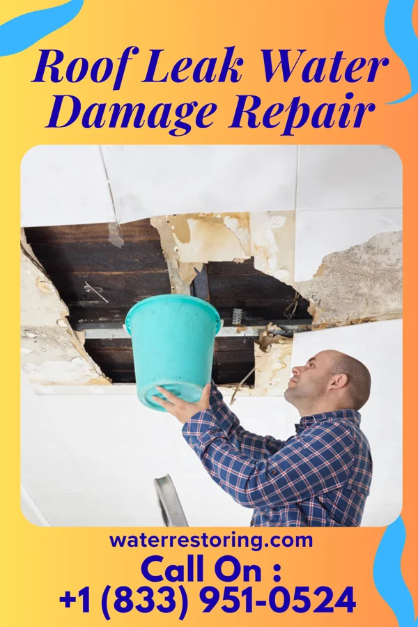 Roof Leak Water Damage Repair in Penbrook, PA
