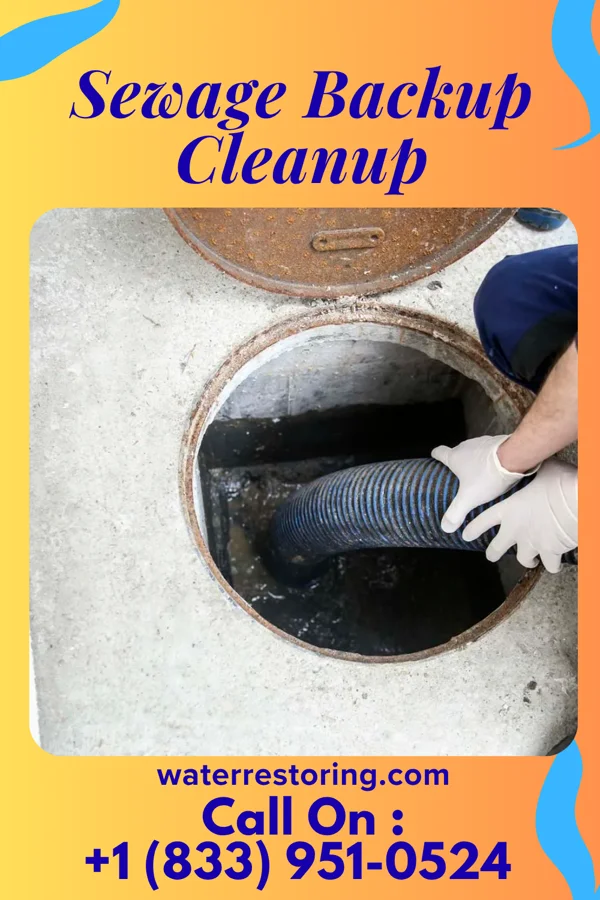 Sewage Backup Cleanup in Penbrook, PA