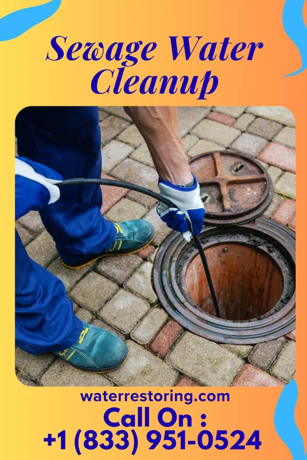 Sewage Water Cleanup in Penbrook, PA