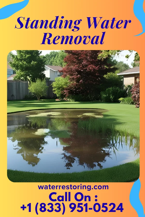 Standing Water Removal in Penbrook, PA